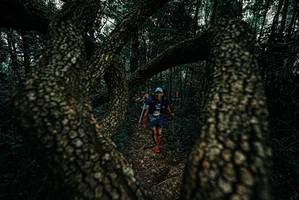 BIB: 
                            <button type="button" onclick="openModal(25690728)" class="btn btn-primary btn-sm float-right btn-popup" data-toggle="modal" data-target=".modal-high-quality">
                        <i class="fas fa-shopping-cart"></i> Add to Cart
                    </button>
                                            <button type="button" onclick="isThisMe(25690728, true)" class="btn btn-success btn-sm float-right btn-popup btn-isme hidden" data-toggle="tooltip" data-placement="bottom" title="นี่คือรูปของคุณใช่ไหม คลิกที่นี่เพื่อเอาเข้าอัลบั้ม">
                        <i class="fas fa-plus"></i> Add to album
                    </button>
                    <button type="button" onclick="isThisMe(25690728, false)" class="btn btn-warning btn-sm float-right btn-popup btn-isnotme hidden">
                        <i class="fas fa-ban"></i> Remove from album
                    </button>